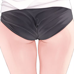 This is a pixiv picture whose title is ブルマの尻.