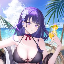 This is a pixiv picture whose title is 雷電将軍.