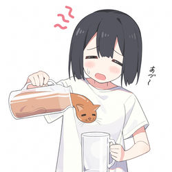 This is a pixiv picture whose title is 麦茶と間違えて猫を注ぐ女の子.