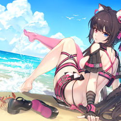 This is a pixiv picture whose title is ネコと海.
