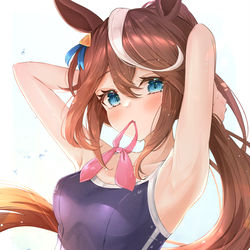 This is a pixiv picture whose title is スク水テイオー.