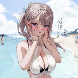 This is a pixiv picture whose title is 俺の水着を見る方が恥ずかしいらしい.