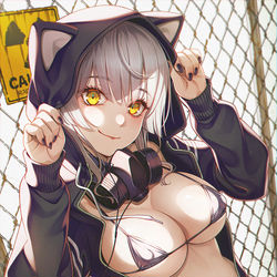 This is a pixiv picture whose title is パーカー娘改.