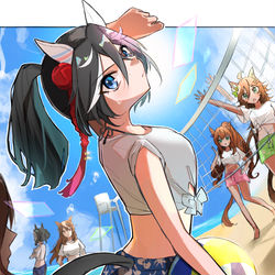 This is a pixiv picture whose title is 夏の海辺にて(エースver.).
