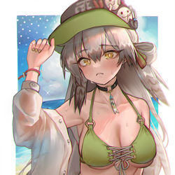 This is a pixiv picture whose title is 夏のファートゥース.