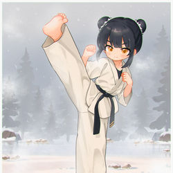 This is a pixiv picture whose title is 雪地训练中.
