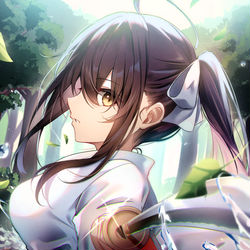 This is a pixiv picture whose title is 二刀流.