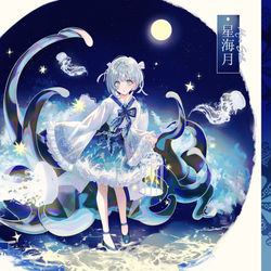 This is a pixiv picture whose title is 星海月.