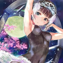 This is a pixiv picture whose title is 月夜のバレリーナさん.