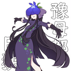 This is a pixiv picture whose title is 豫母都日狭美.