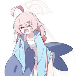 This is a pixiv picture whose title is 小鳥遊ホシノ.
