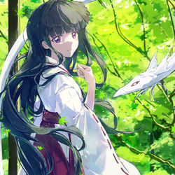 This is a pixiv picture whose title is 桔梗.