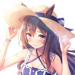 This is a pixiv picture whose title is 夏ドーベル.
