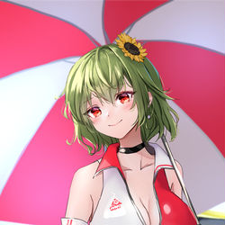 This is a pixiv picture whose title is レースクイーン幽香さま.