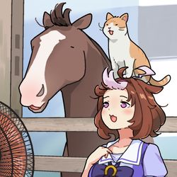 This is a pixiv picture whose title is 涼むメイショウドトウ.