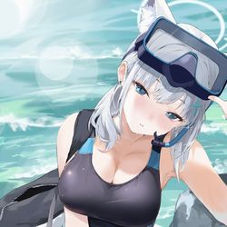 This is a pixiv picture whose title is 🐺.