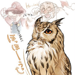 This is a pixiv picture whose title is 「フクロウ豆知識まとめ」+書籍化お知らせ.