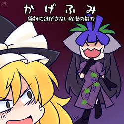 This is a pixiv picture whose title is 豫母都日狭美の「絶対に逃がさない程度の能力」.