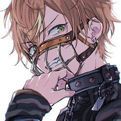 This is a pixiv picture whose title is > collar and dog tag.