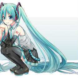 This is a pixiv picture whose title is しゃがむミクさん.