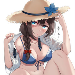 This is a pixiv picture whose title is 水着時雨.