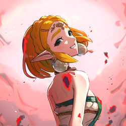 This is a pixiv picture whose title is ゼルダ？.