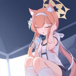 This is a pixiv picture whose title is 伊落マリー(体操服).