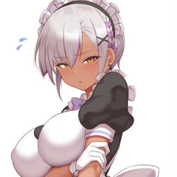 This is a pixiv picture whose title is メイド服フィナ.