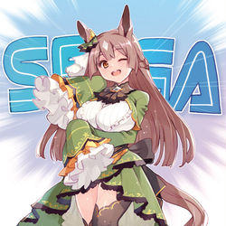 This is a pixiv picture whose title is セガちゃん（ウマ娘）.