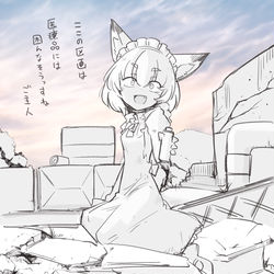 This is a pixiv picture whose title is ポストアポカリめい.