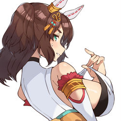 This is a pixiv picture whose title is イナリワン.