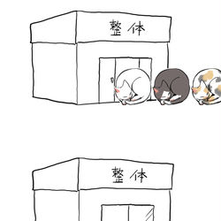 This is a pixiv picture whose title is 整体に行った猫.