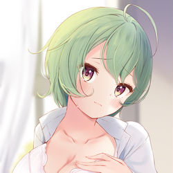 This is a pixiv picture whose title is 緑髪娘が元異世界人になった場合.
