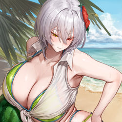 This is a pixiv picture whose title is アリシアちゃん　濡れ透け付き.