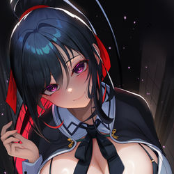 This is a pixiv picture whose title is 姫島朱乃(ハイスクールD×D).
