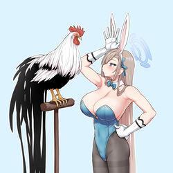 This is a pixiv picture whose title is 尾長鶏 vs アスナ.