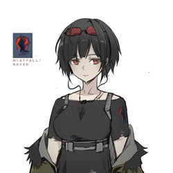 This is a pixiv picture whose title is NIGHTFALL/RAVEN.