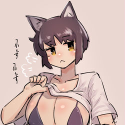 This is a pixiv picture whose title is 猫犬犬犬狐婆ちゃん.