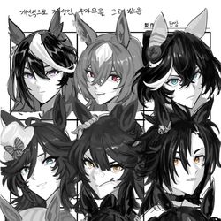 This is a pixiv picture whose title is 個人的に顔が好きな9人のウマ娘と馬.