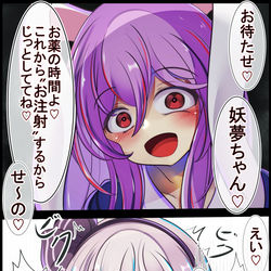 This is a pixiv picture whose title is 大好きな妖夢ちゃんにお薬を投与するうどんげちゃん.