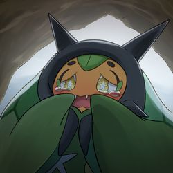This is a pixiv picture whose title is オーガポン.