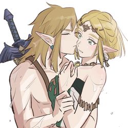 This is a pixiv picture whose title is ゼル伝①.
