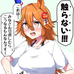 This is a pixiv picture whose title is 引退後フクキタさんに当時のライブ衣装を着ていただく.