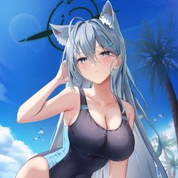 This is a pixiv picture whose title is シロコ*テラー.