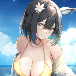 This is a pixiv picture whose title is 水着フラッシュ.
