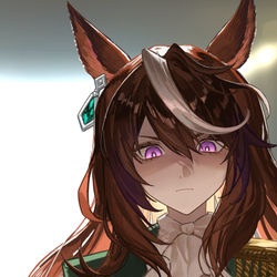This is a pixiv picture whose title is 戦いに臨んでいるシンボリルドルフ.