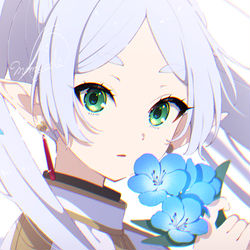 This is a pixiv picture whose title is フリーレン.