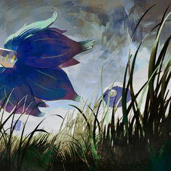 This is a pixiv picture whose title is キラフロル.