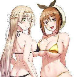 This is a pixiv picture whose title is Wビキニ.