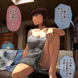 This is a pixiv picture whose title is 姉ちゃんと晩ごはん食べた後の会話.